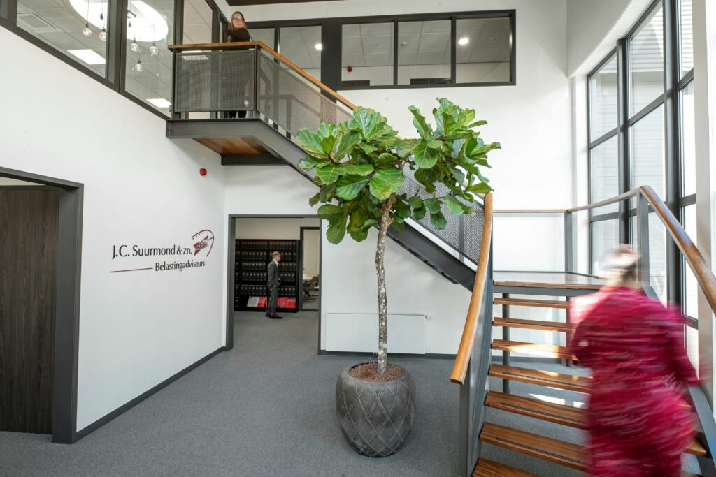 moving to the netherlands